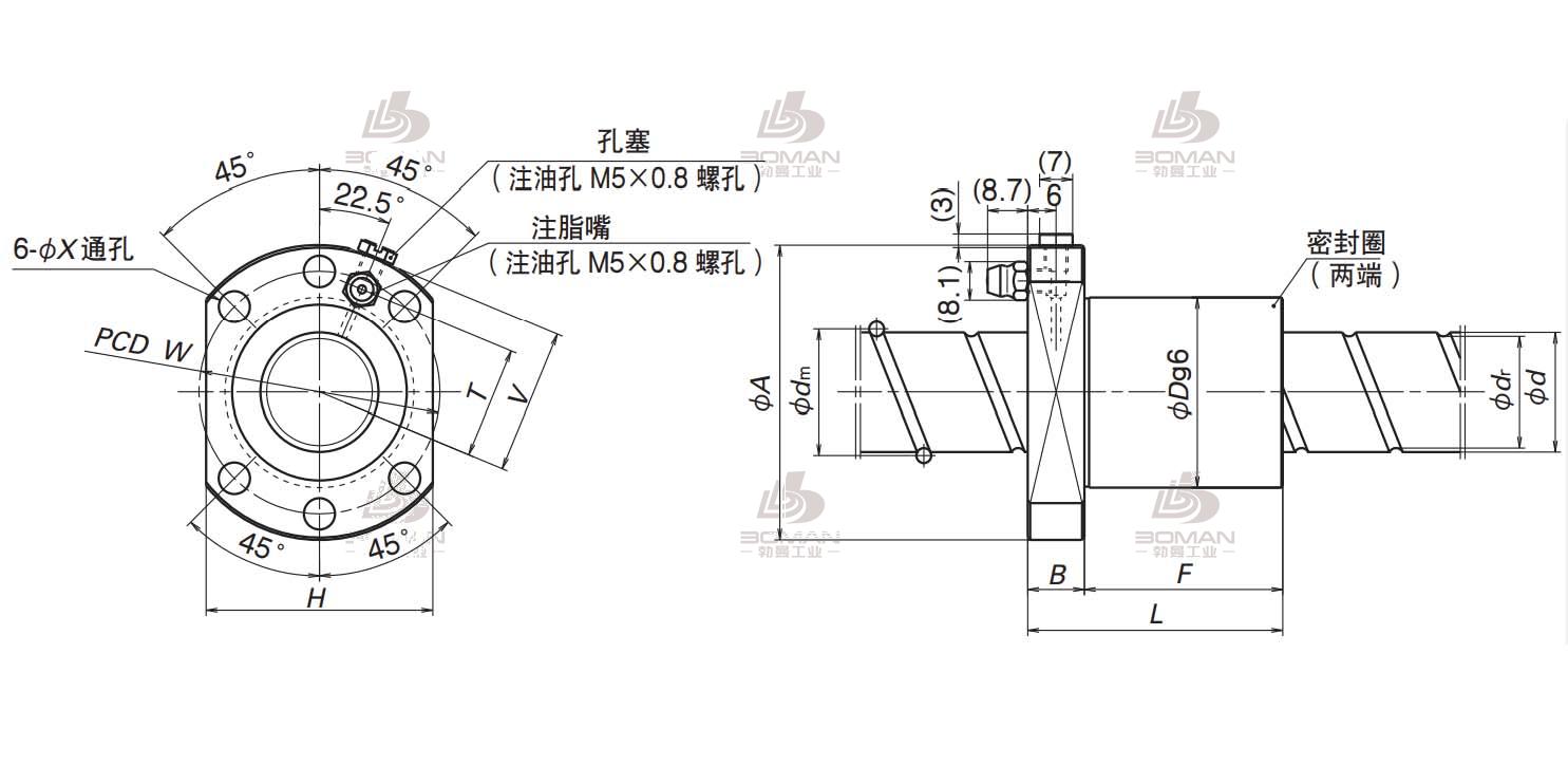 BSS2525-2E-BSS标准螺母