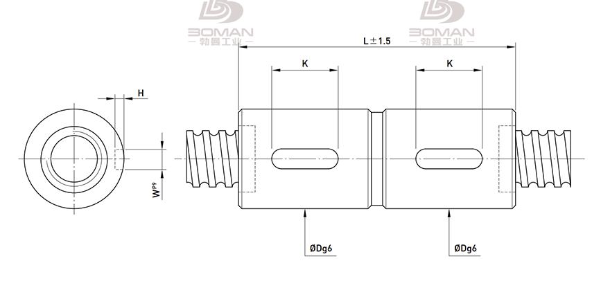 HIWIN上银 RDI 上银2510滚珠丝杆组件