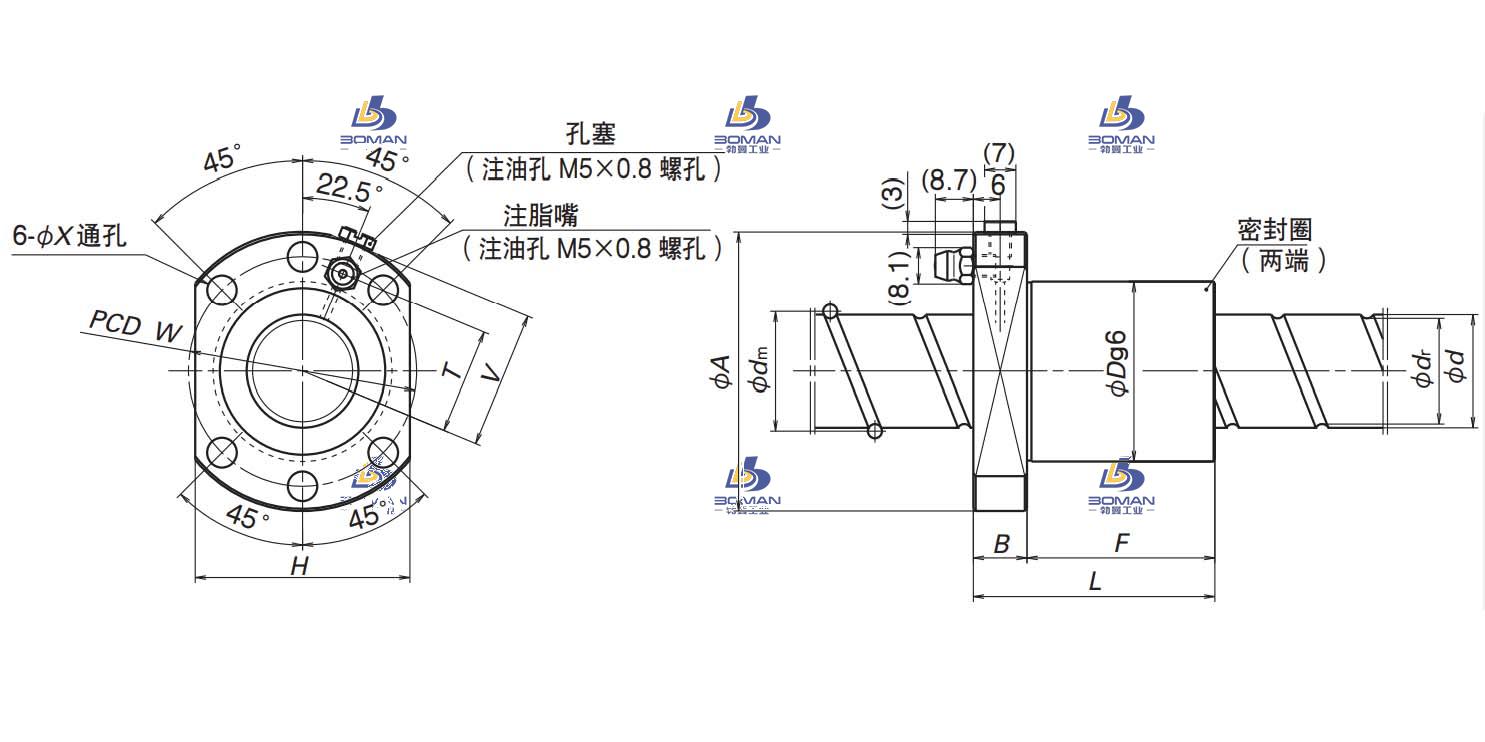 BSS2550-2E-BSS标准螺母