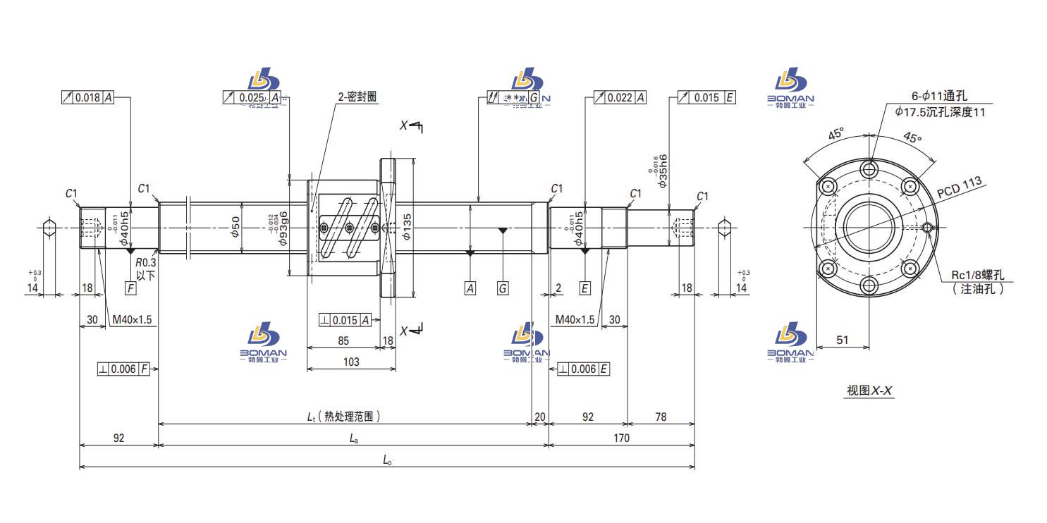 W5025SA-1Z-C5Z10-FA标准滚珠丝杠